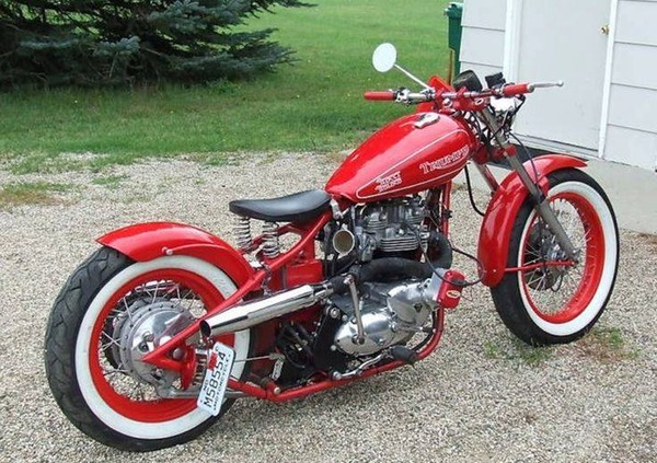 254326147_1571153966572703_2611753558422894023_n