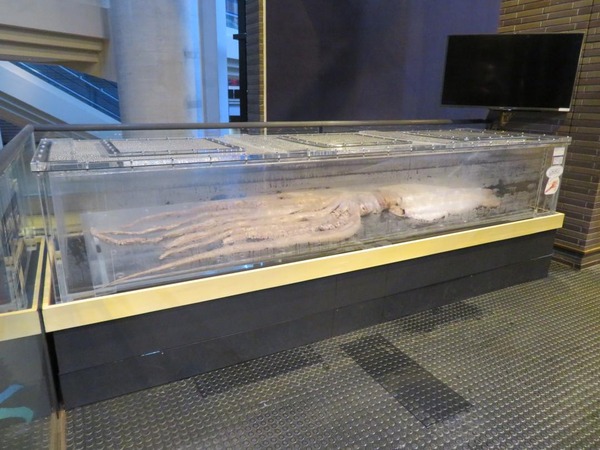 16438914563895_photo1_001