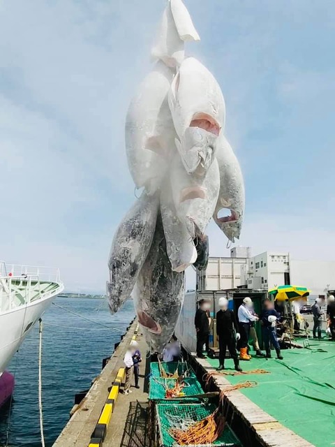 185831590_1721092151420030_6312824826989869239_n