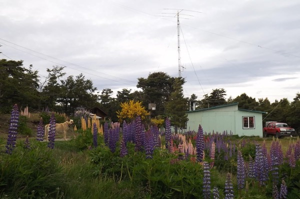 207145103_4133990470023642_9034037915187415873_n