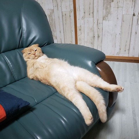 187984350_138853048279559_2209065421587307007_n