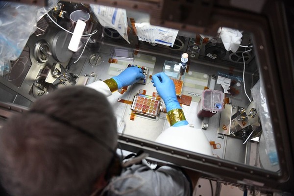 203403485_355131405984831_1320417247013543885_n