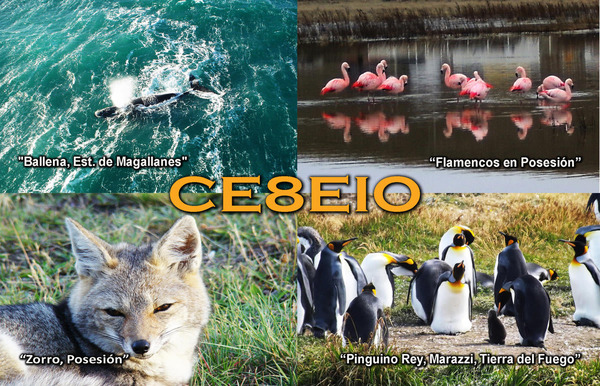 201537041_4133989626690393_3215838249429995077_n