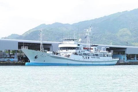 74617600_770618533755239_880936008683917600_n