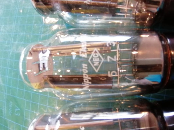 209584788_5757892764281671_2602076789596120687_n