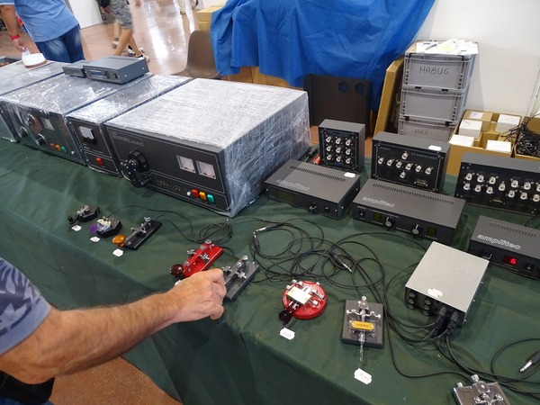 305185709_783558356399446_6788590541149983306_n