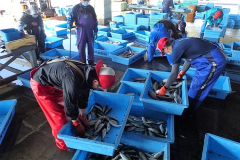 185989334_3507853762653987_324963582452548768_n