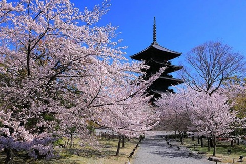 187524912_806519006648958_5822988681349071752_n