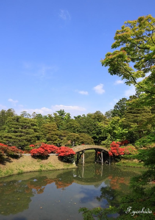 202763602_4096857083740598_2983510311730597496_n