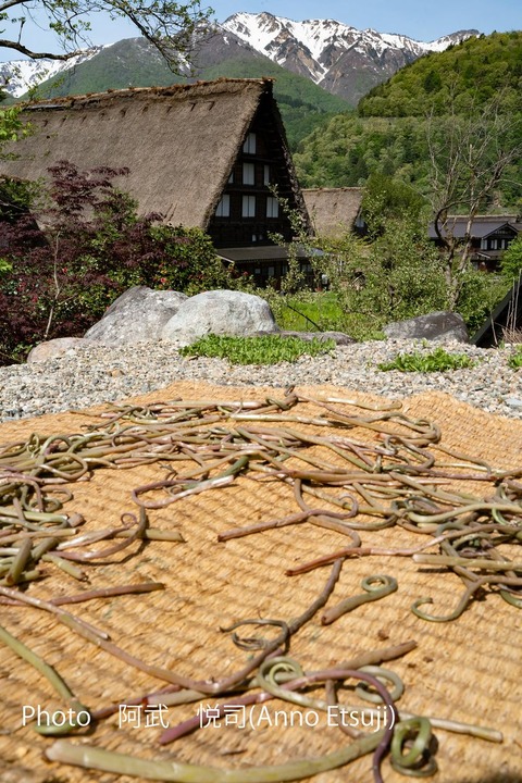 184574187_4129786290407543_2668725701225160629_n