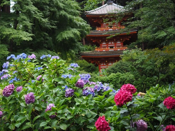 206595691_2944514925877032_1565574010650810652_n