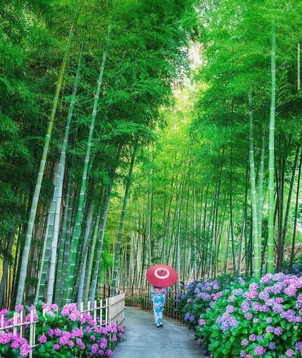 209419414_867668250555410_296376479212137132_n