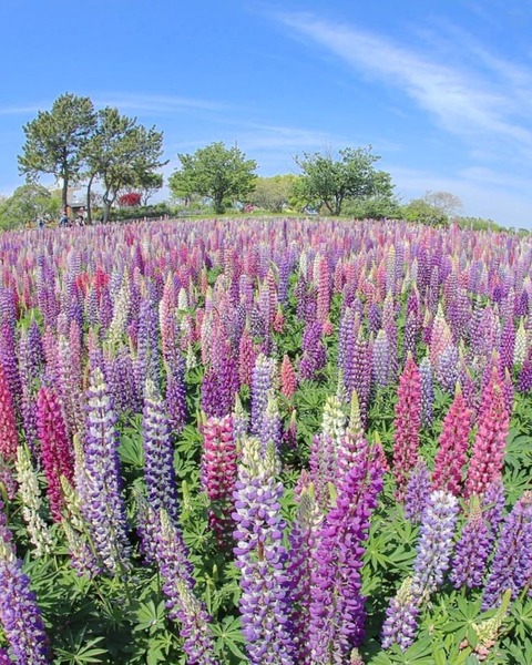 184592059_2818173838431210_1570436126763807549_n