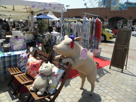 13227685_575075606005063_5459097652540385742_o