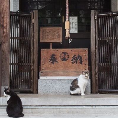 183431712_328543865292468_7034109065024202288_n