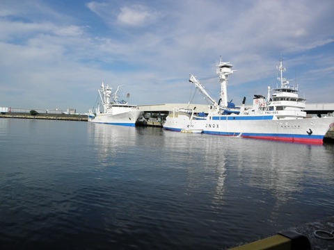 11707691_450659481780010_8319626061582180631_o