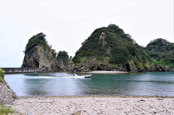 204527632_1740517682816696_2181939760298574589_n