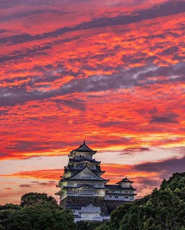 201808573_343622563800419_6035598281096957720_n