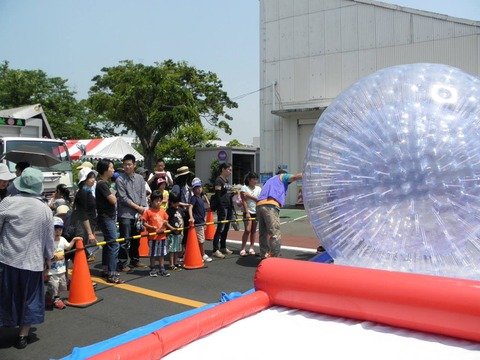 13235540_574732459372711_4977217610436133931_o