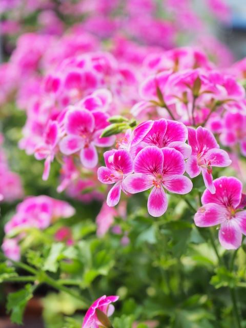 204345488_4389686424376786_2572522707732852671_n