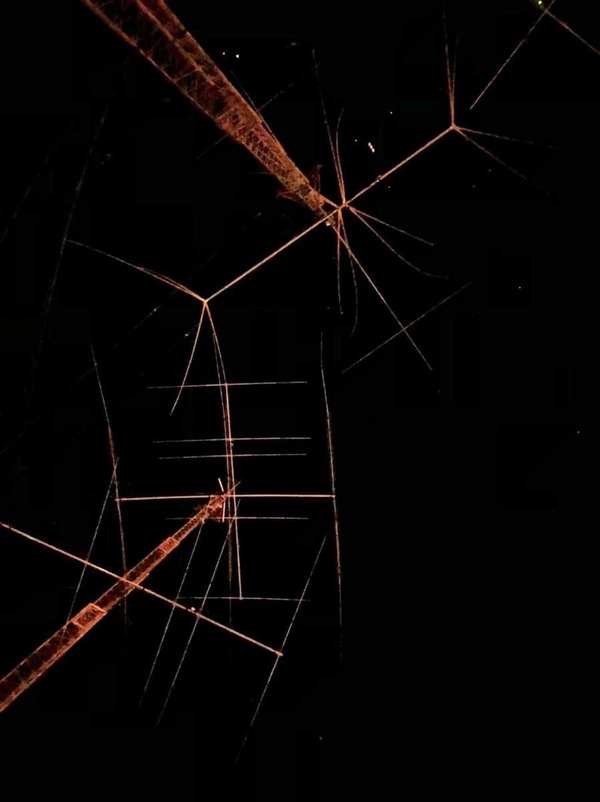 201545761_4136983919724297_69917441638462341_n