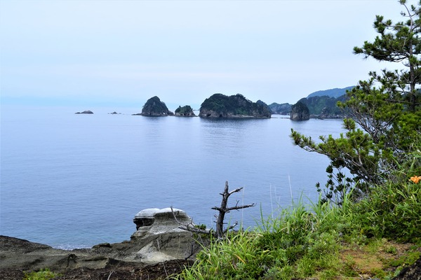 205767187_1740517729483358_1183129592502603469_n