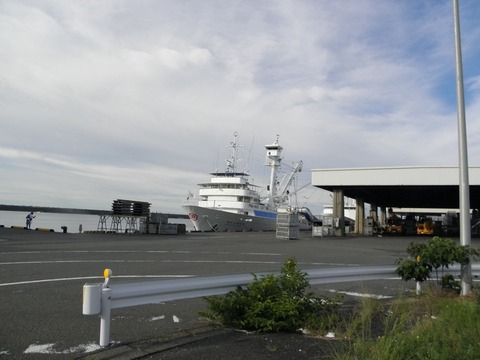 10498548_448329138679711_865962376098170974_o