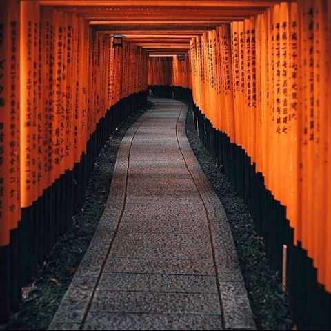 185373916_842205576435011_6788249285817021558_n