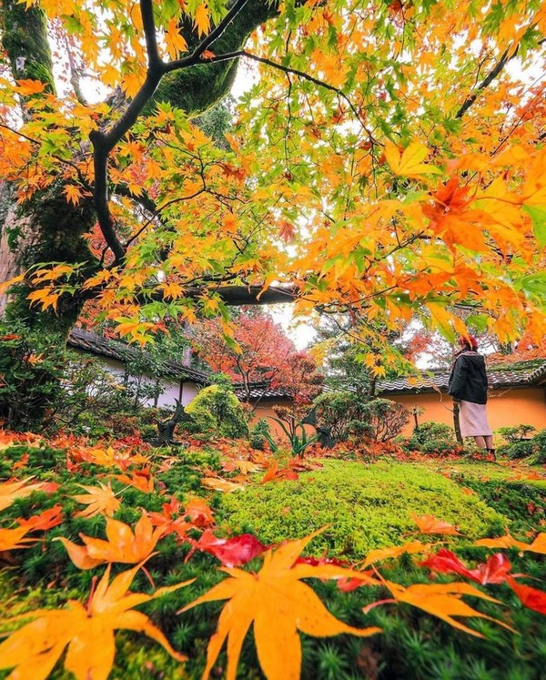 199581093_346430083519667_5385324533392117357_n