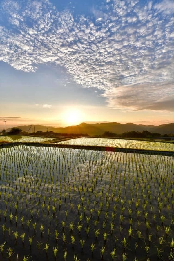 207086652_4624966577532829_5244415899346060023_n