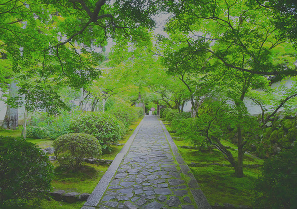 205415475_3768017303422745_6694746534253210052_n