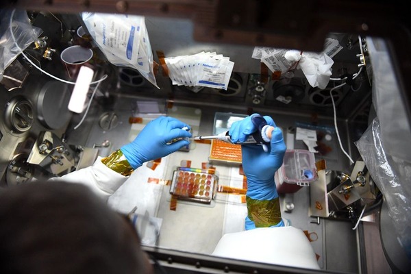 204193509_355141632650475_1807510447963814824_n