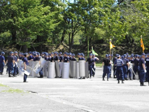 11731962_464884220357536_7175721834054296945_o