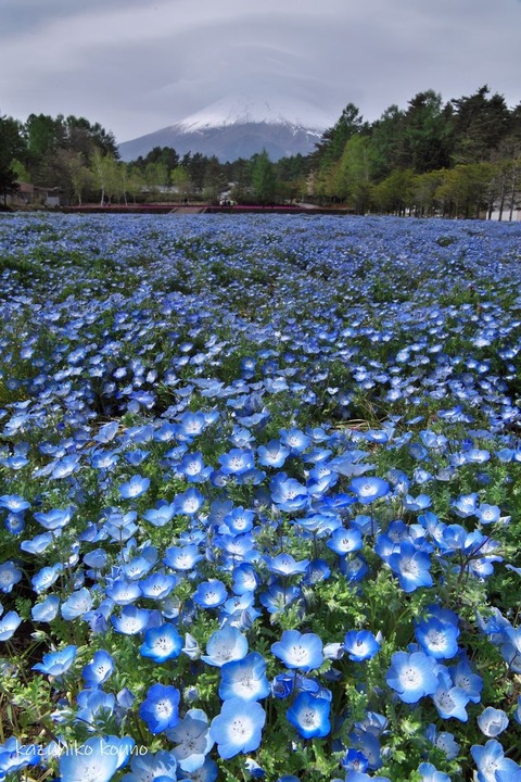 183918953_4472632309432924_4738166215982206402_n