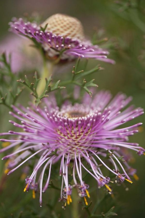 287227737_7575523502517765_6889678701806473929_n