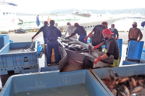 182112806_3487470141359016_8672546710480363294_n