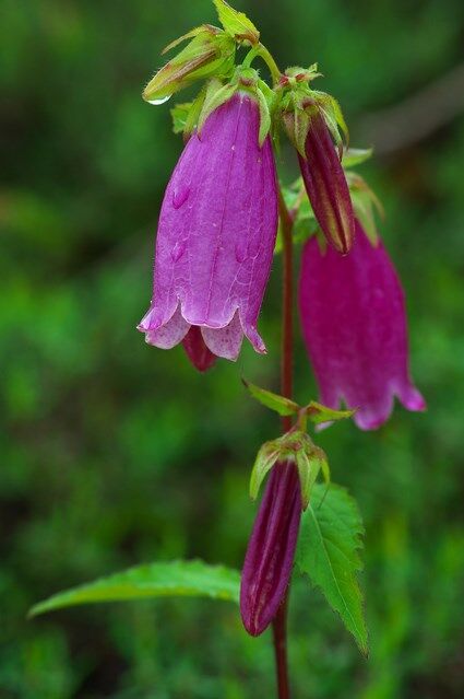 205712526_4387194954625933_8691581688079898145_n