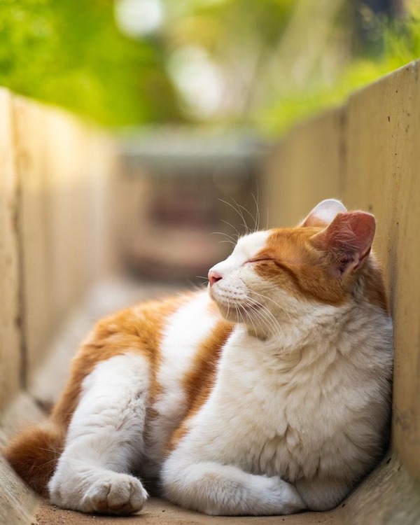 202887951_2675623069228419_6470563517605366754_n