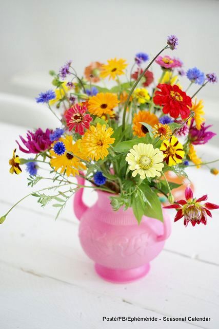 204767351_4358205144229548_7420594636584621726_n