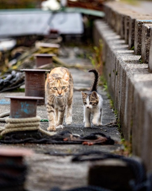 205141387_2680989548691771_4983403751683085480_n