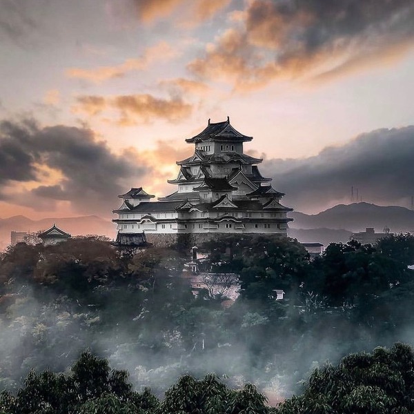 205855835_867039877284914_1738419604696783535_n