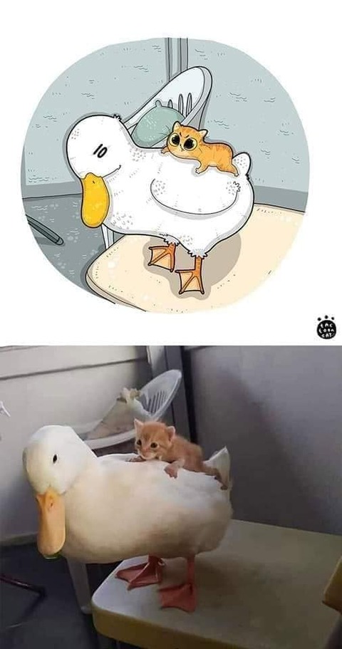 185175127_138216145009916_895650784932118403_n