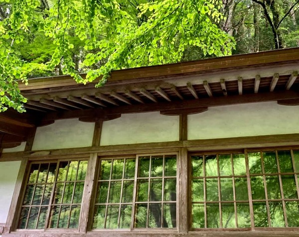 200152748_2989081601410971_5863243892063421019_n