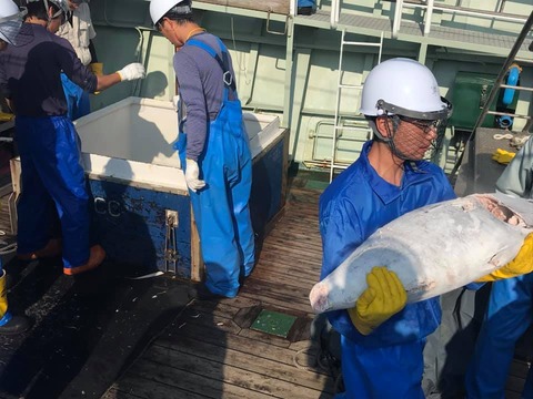 117110988_795867077897051_1357757368692602308_n