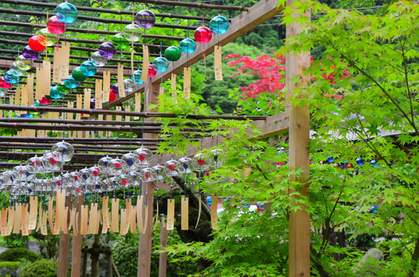 208450876_3767122290178913_5426649934365715112_n