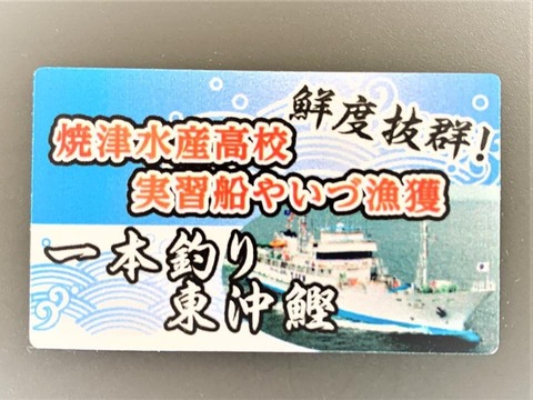 116879431_795867547897004_5665682771847766124_n