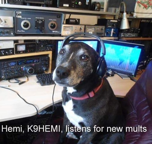 241970414_4169423949792846_8303645996505966602_n