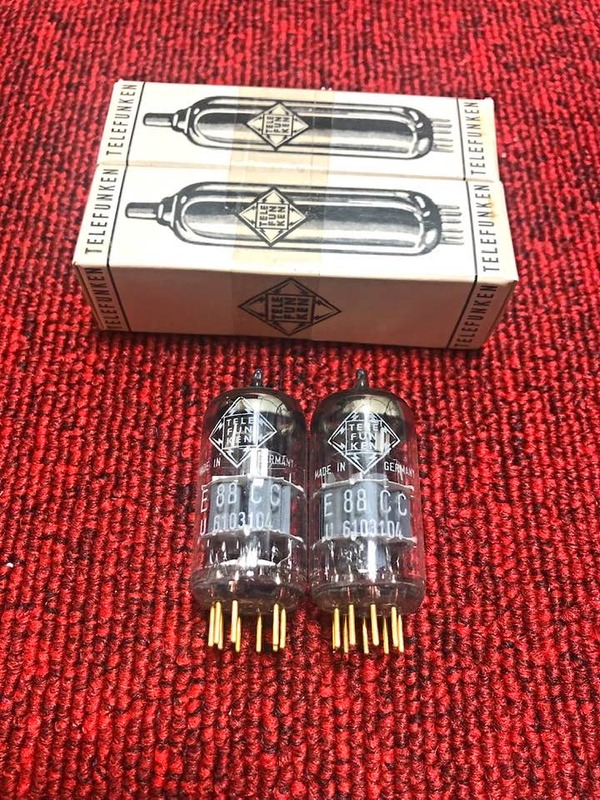 273141689_5173558422711690_3856722165183177977_n