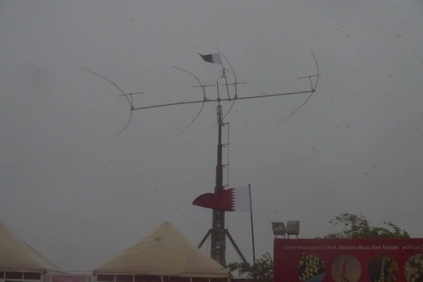 241744519_4159539370781304_2287798384858245999_n