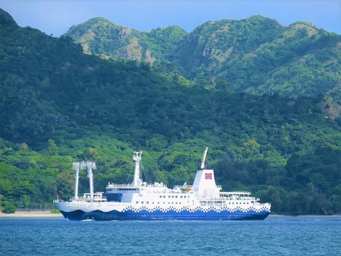 188286132_4047658871957581_1845269610087456330_n